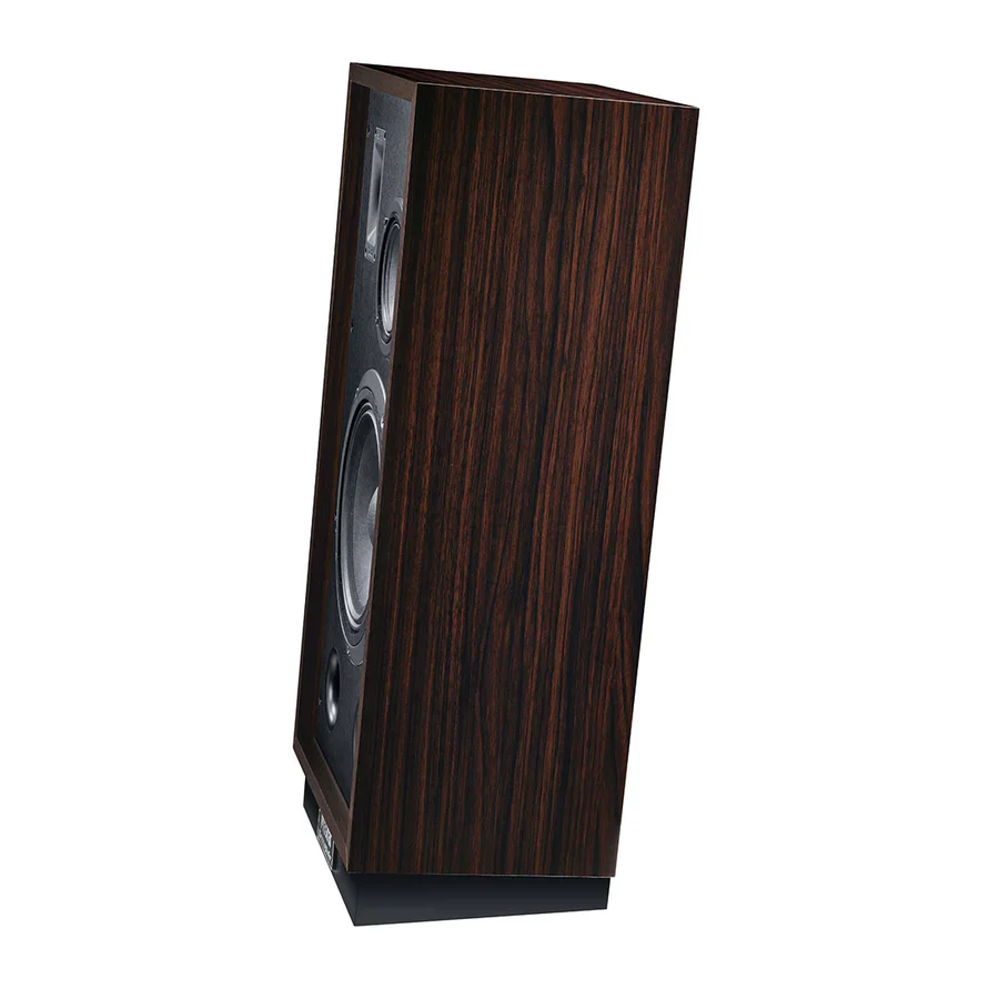 Magnat Transpuls 1000 10" 3-Way Floorstanding Loudspeaker Pair (Certified Refurbished) - Image 3